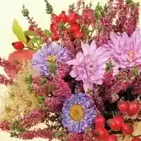 Autumn Flowers