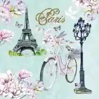 Bike in Paris