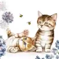 Cats and Bees