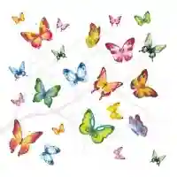 Colourful Butterflies