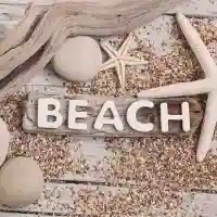 Beach Wood