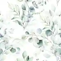 Eucalyptus All Over