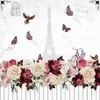 Romantic Paris