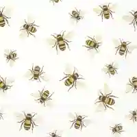 Save the Bees White