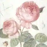 Elisabeth