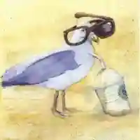 Funny Seagulls Sun