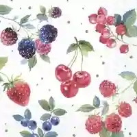 Red Summer Fruits