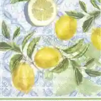 Citrus Limon