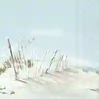 Beach Life