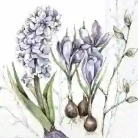 Duet in Spring