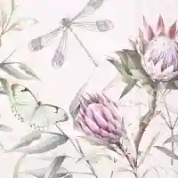 Layana Rose