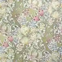 Golden Lily V&amp;A White