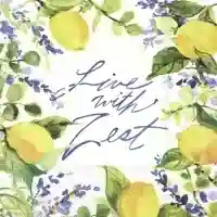 Live with Zest