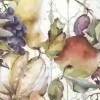 Frutos De La Catrina Cream