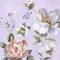 Jonna Lilac