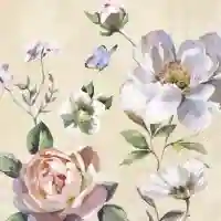 Jonna Cream