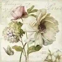Marche De Fleurs Cream