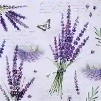 Viola Lavender
