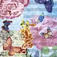 Musical Garden