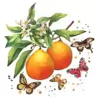 Fruity Butterflies