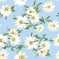 Daisies