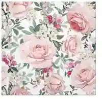 Gorgeous Roses