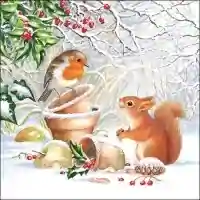 Winter Picture