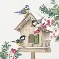 Birds Meeting Point cream