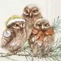 Winter Owls cream