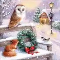 Just Chatting