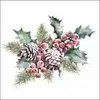 Holly and Berries