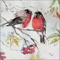 Birds on Branch