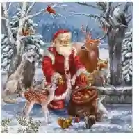 Santas Gifts