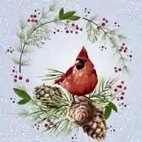 Winter Cardinal 1