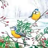 Two Winter Tits