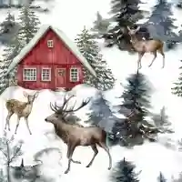 Winter Landscape