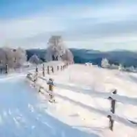 Winter Walk 2