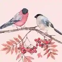 Joy Birds