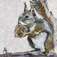 Squirrel Portrait