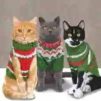Sweater Cats