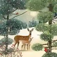 Holiday Meadow