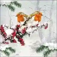 Winter Birds