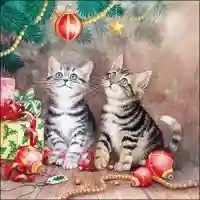 Magic of Christmas