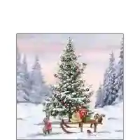 Winter Animals