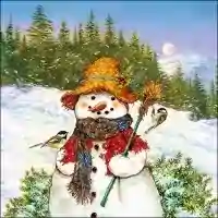 Snowman &amp; Birds