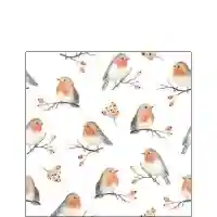 Robin Family