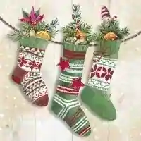 Knit Socks cream
