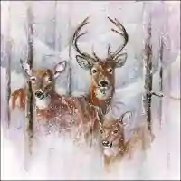 Wilderness Stag