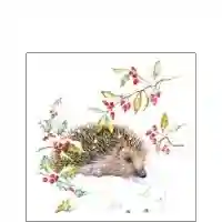 Hedgehog in Winter