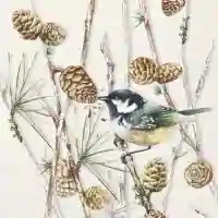 Bird on Branch cream